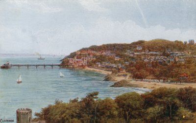 Clevedon von Alfred Robert Quinton